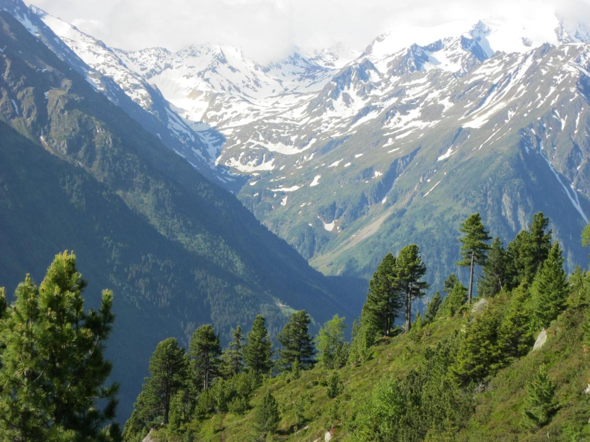 Ferienhaus Stubai نيوستيف ام ستوبيتا المظهر الخارجي الصورة