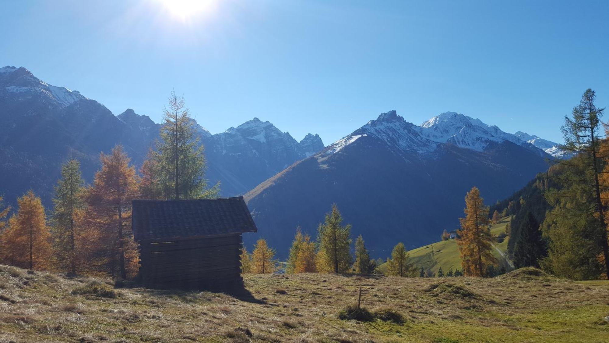 Ferienhaus Stubai نيوستيف ام ستوبيتا المظهر الخارجي الصورة