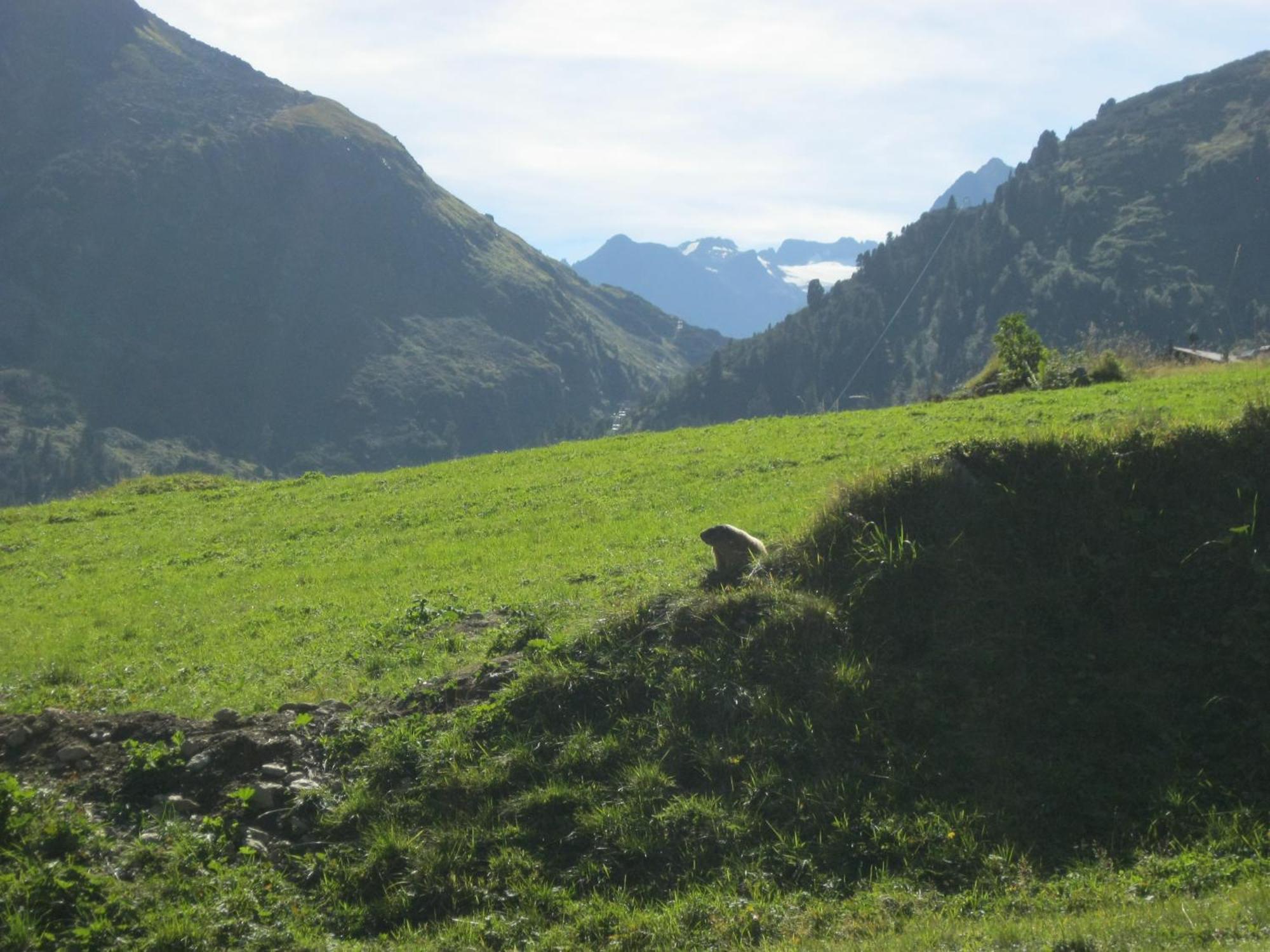 Ferienhaus Stubai نيوستيف ام ستوبيتا المظهر الخارجي الصورة